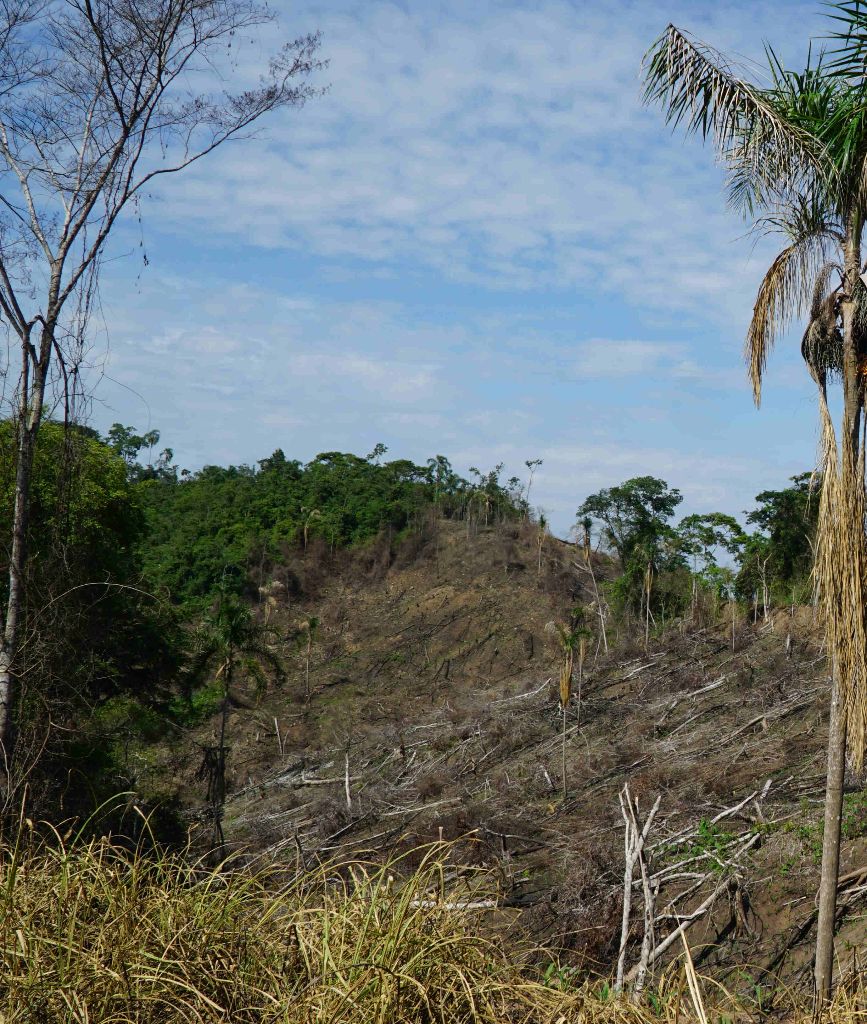 Weitere schwere Menschenrechtsverletzungen in Amazonasregionen Perus