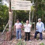 Trockenwaldprojekt in San Martín, Ende 2020 erfolgreich abgeschlossen